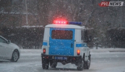 Избил кота до смерти: на павлодарца завели уголовное дело