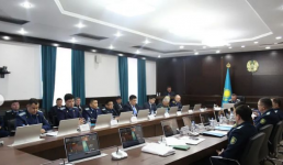 Павлодарские прокуроры выявили нарушения в работе резервата «Ертіс орманы»