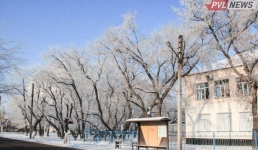 В Павлодаре нашли водителей, разбивших две автобусные остановки