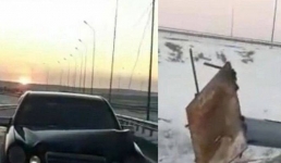 В Павлодарской области на легковушку упал столб линии электропередач