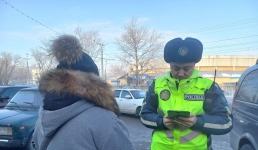 В Павлодаре назвали любимые места пешеходов-нарушителей