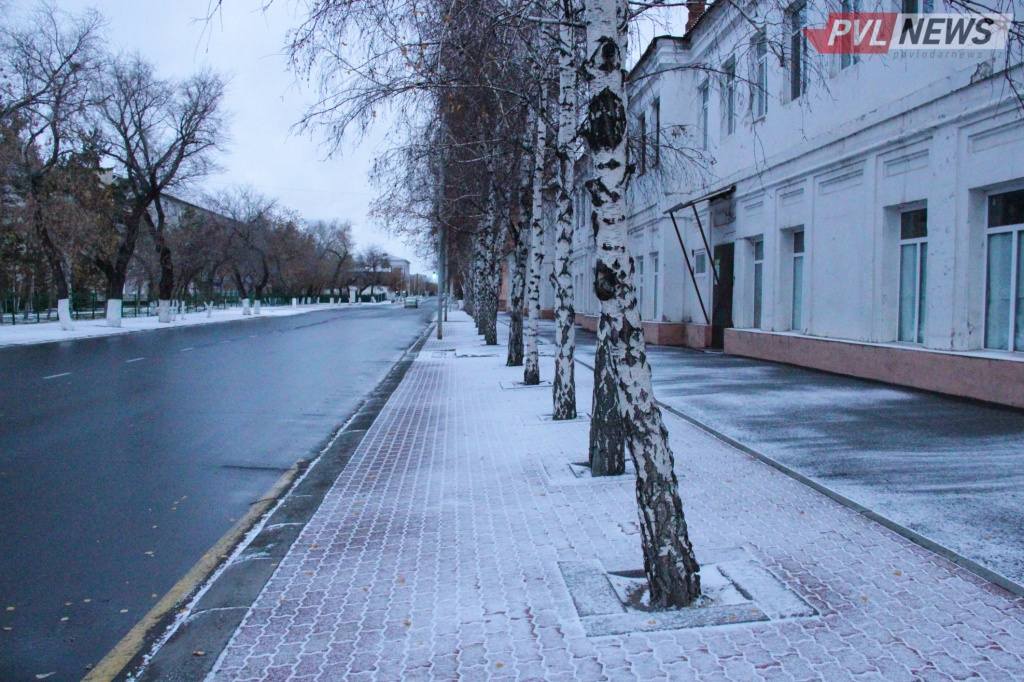 Метель и снег прогнозируются 26 февраля в Павлодарской области