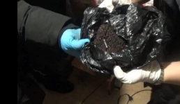 Наркопритон выявили полицейские в павлодарской квартире