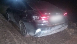 Лошади стали причиной ночного ДТП в Павлодарском районе