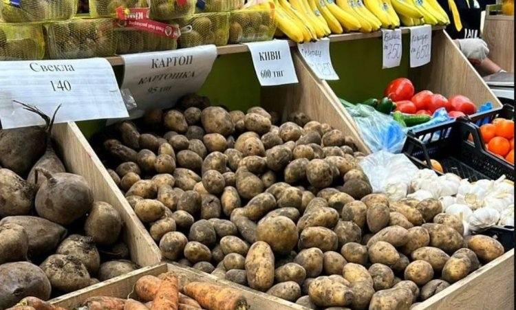 Праздничную ярмарку устроят в Павлодаре на «Jailau»