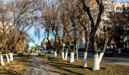 Туман обещают в Павлодарской области 25 марта
