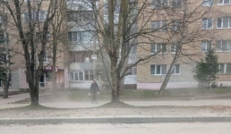 Превышения ПДК по пыли выявили санврачи в Павлодаре