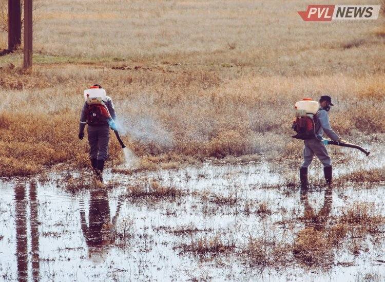 В два раза больше выделили на борьбу с гнусом в Павлодарском районе