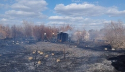 В Павлодаре потушили пожар в садоводстве