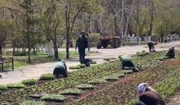 В Павлодаре начали высаживать цветы