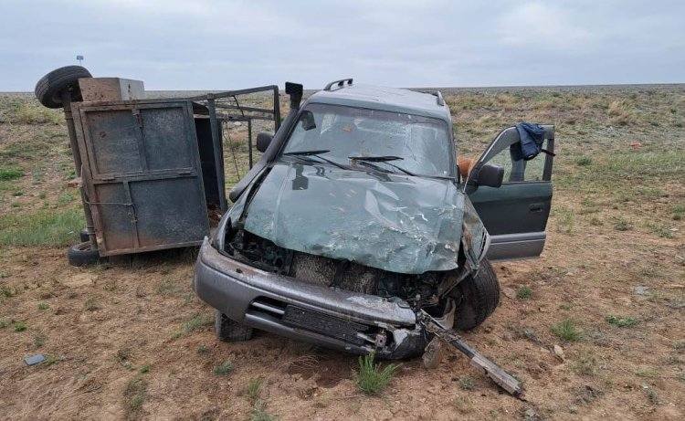 В ДТП в Павлодарской области погибла лошадь