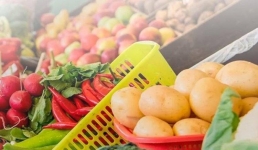 Мясо, рыбу, молоко: что еще привезут на павлодарскую сельхозярмарку