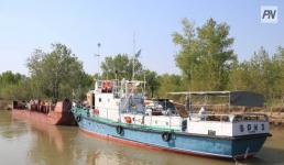 В речных протоках Павлодарской области начали травить гнус