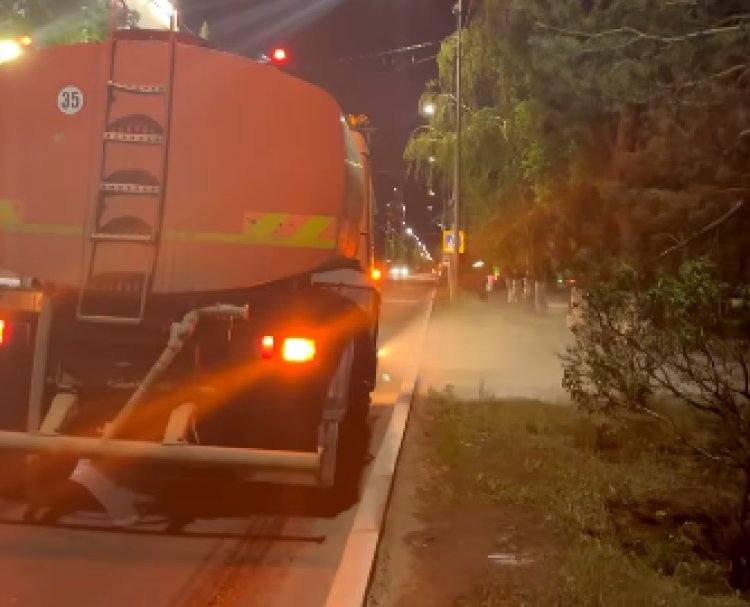 На круглосуточный полив растений перешли в Павлодаре