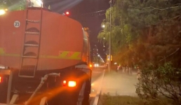 На круглосуточный полив растений перешли в Павлодаре