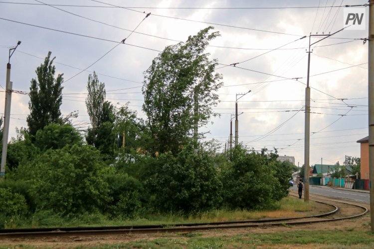 20 июня в Павлодарской области станет заметно прохладнее