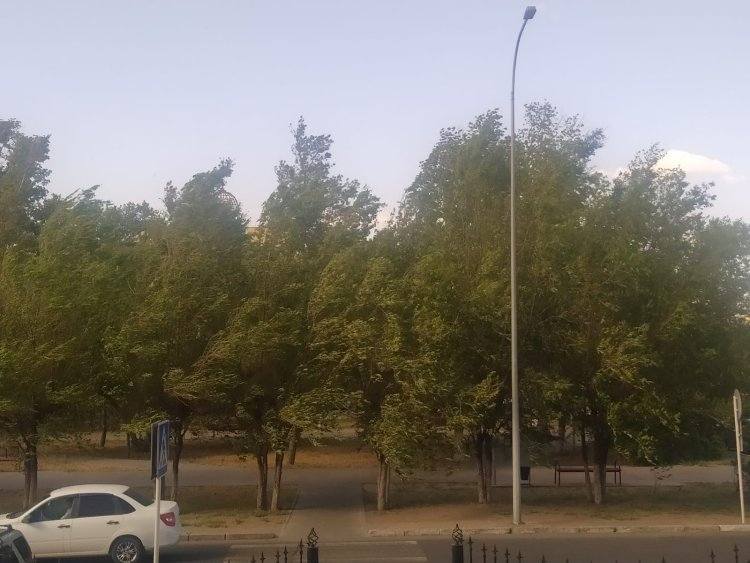 Сильный ветер обещают в Павлодарской области 21 июня