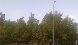 Сильный ветер обещают в Павлодарской области 21 июня