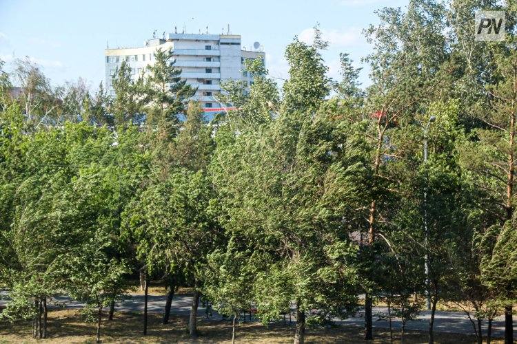 Опасность пожаров сохраняется в Павлодарской области 22 июня