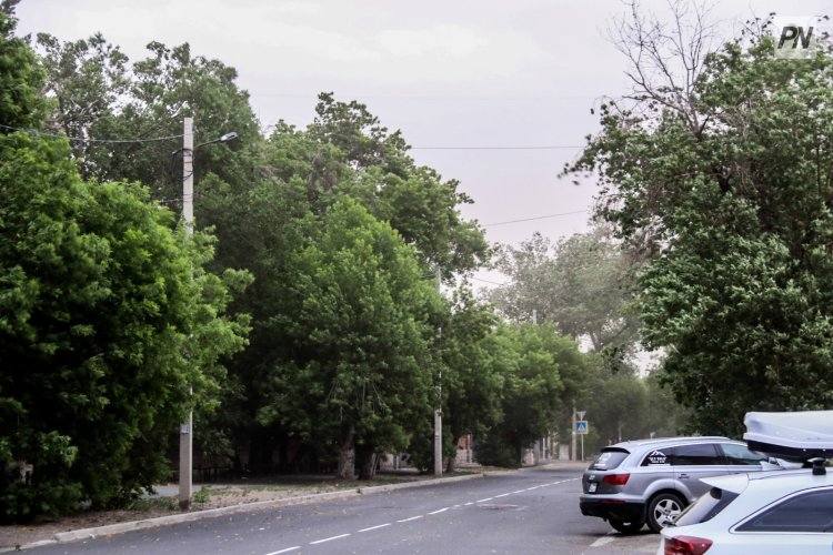 Дождь с грозой обещают в Павлодарской области 24 июня