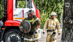 Павлодарские пожарные займутся подготовкой лесоохраны