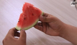 Жара спровоцировала рост кишечных инфекций в Павлодарской области