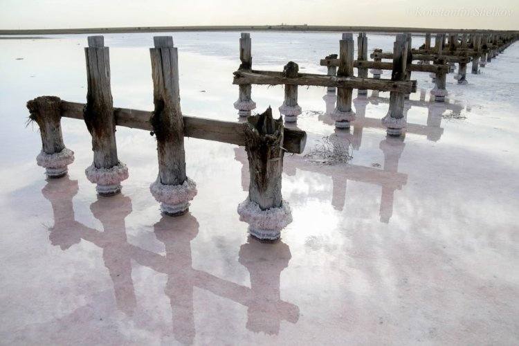 Почему обмелело озеро Коряковка в Павлодарской области