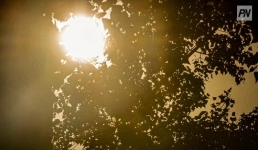 Сильная жара сохранится в Павлодарской области