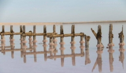 Обмеление павлодарского розового озера проверит комиссия