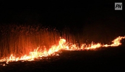 В Павлодарской области сохраняется высокий уровень пожарной опасности