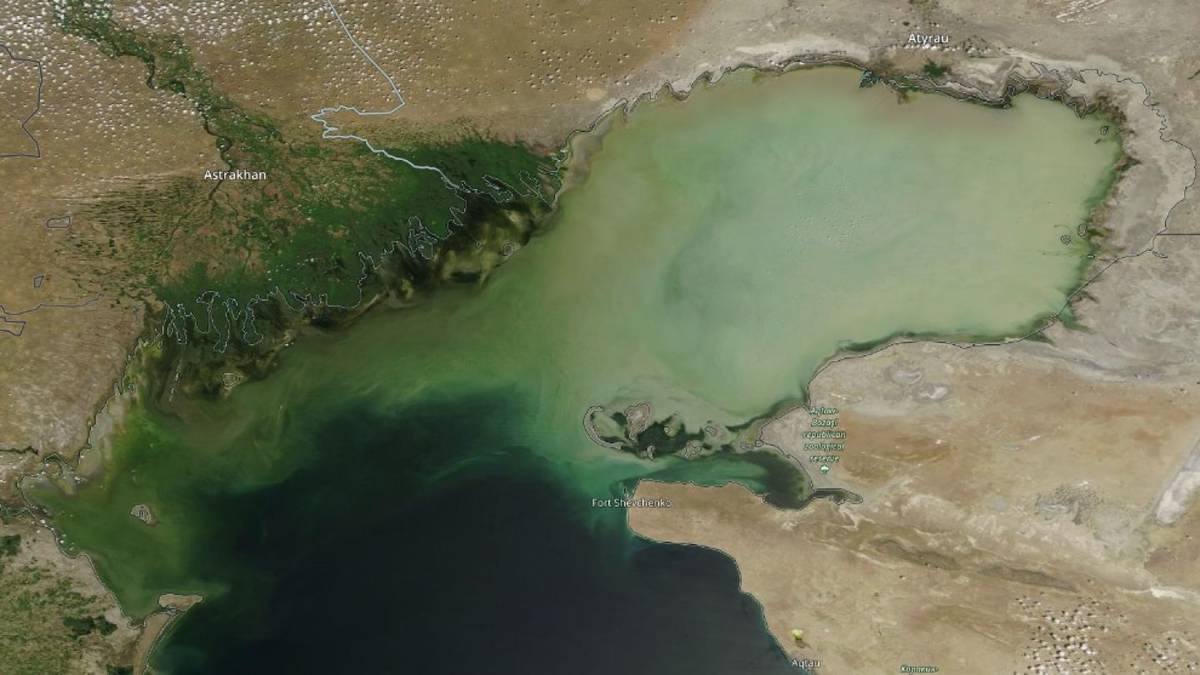 Каспийское море сейчас фото