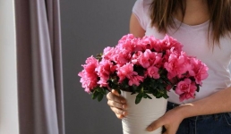 Цветам павлодарцев подарят вторую жизнь