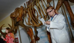 Тур по музеям: куда сходить бесплатно в Павлодаре