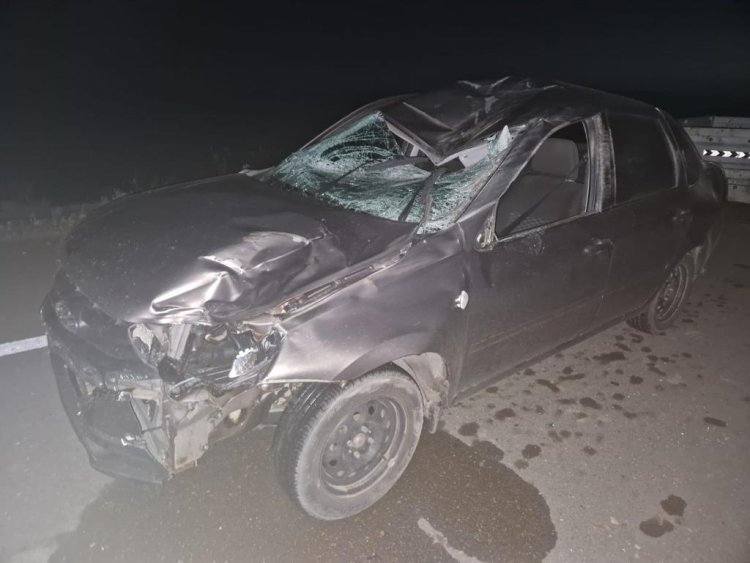 ДТП из-за лошади: павлодарца обяжут возместить ущерб