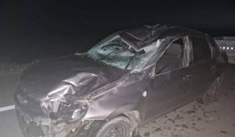 ДТП из-за лошади: павлодарца обяжут возместить ущерб