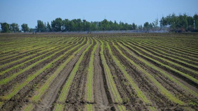 Как изменения климата отразятся на Павлодарской области