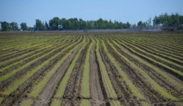 Как изменения климата отразятся на Павлодарской области