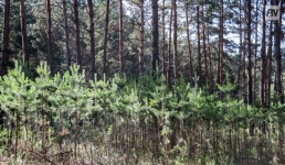 Смогут ли павлодарские резерваты продавать услуги