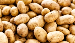 Как развивать кулинарный бренд Павлодарской области