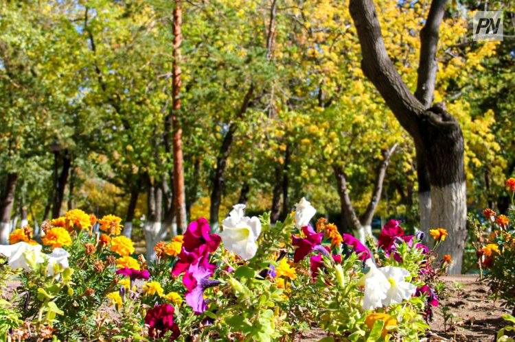 1 августа в Павлодарской области будет без осадков