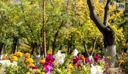 1 августа в Павлодарской области будет без осадков