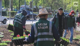 В Павлодаре сорвана работа «Жасыл ел»