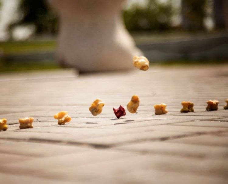 Павлодарцы поедут на чемпионат мира по древнейшей игре кочевников