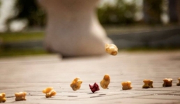 Павлодарцы поедут на чемпионат мира по древнейшей игре кочевников