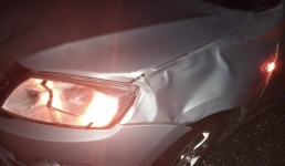 Лошади стали причиной двух ДТП в Павлодарской области