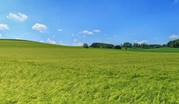 В Павлодарской области земли добровольно возвращают в госсобственность