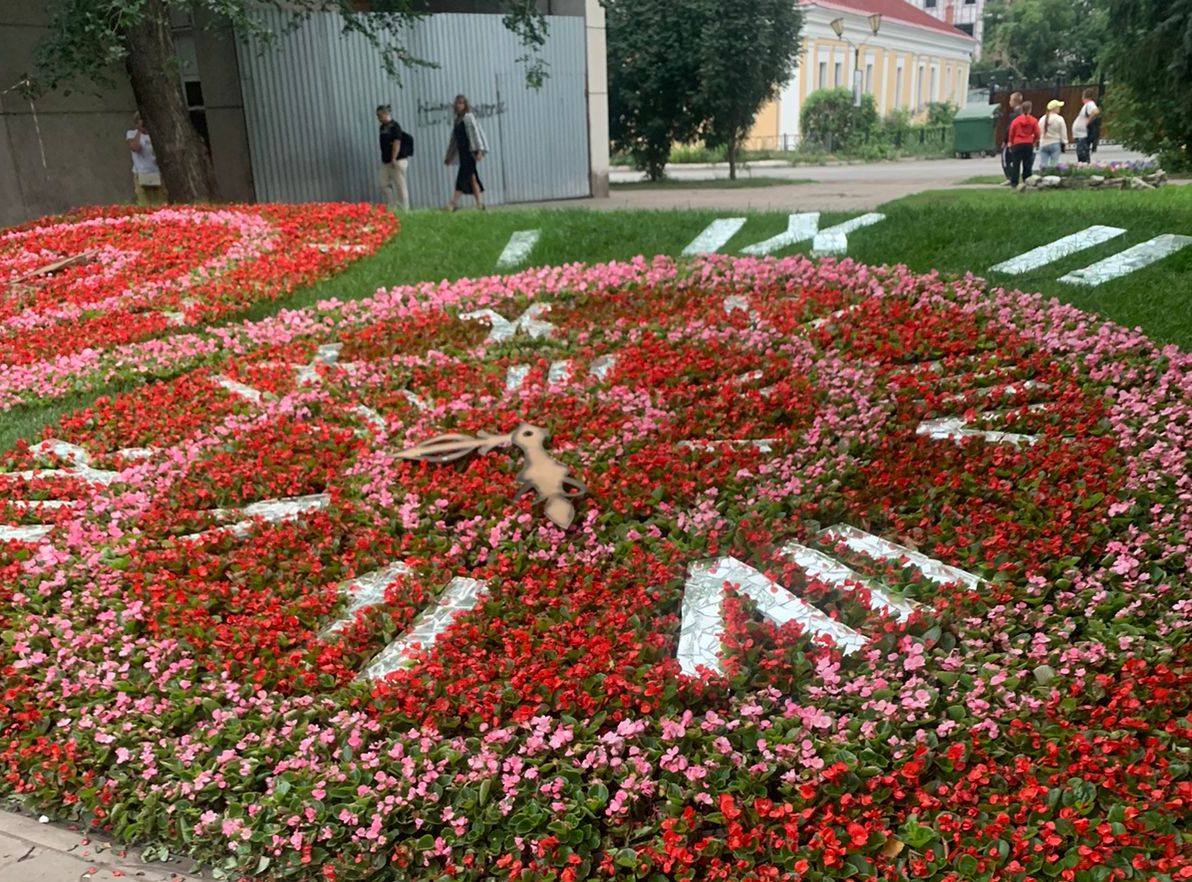 Флора Омск Фото