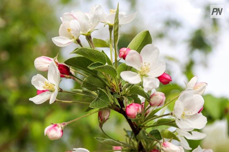 Облачно и лёгкий ветерок: погода в Павлодарской области 9 августа