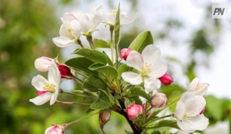 Облачно и лёгкий ветерок: погода в Павлодарской области 9 августа