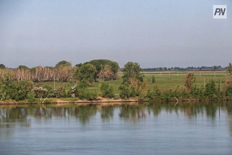 «Зелёный» пикник организуют в Павлодаре